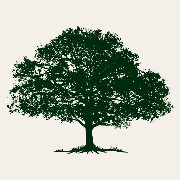 بطری اسانس بلوط خوراکی مناسب برای دسر و نوشیدنی